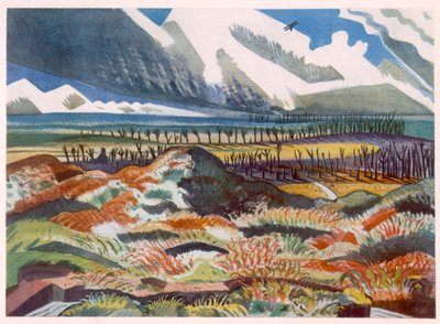 Ruined Country, Vimy, fra britiske kunstnere ved fronten, fortsættelse af vestfronten, tredje del, Paul Nash af Paul Nash