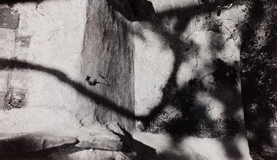 Step Edge; nedenfor Nashs have ved New House, Rye, Sussex af Paul Nash