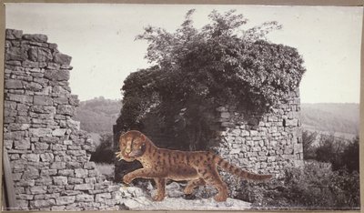 Tiger, Tiger, ca. 1938 (collage) af Paul Nash