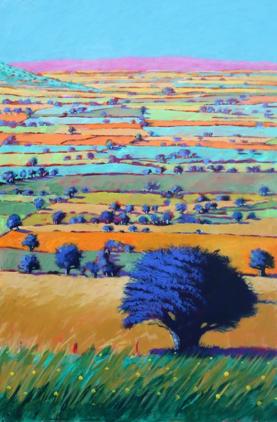 Cotswold Way, 2021 (akryl på plade) af Paul Powis