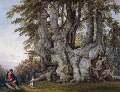En dreng, der laver en hund til at danse ved kuglen af et gammelt knudret bøgetræ, af Paul Sandby