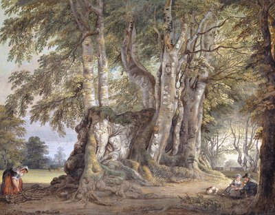 En bondepige, der samler kviste og figurer, der sidder ved kuglen af et gammelt knudret bøgetræ, af Paul Sandby
