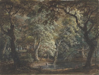 Windsor Great Park, 1790-99. af Paul Sandby