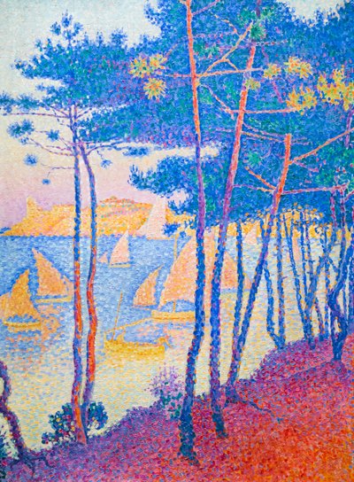 Sejlbåde og fyrretræer, ca. 1896 (olie på lærred) af Paul Signac