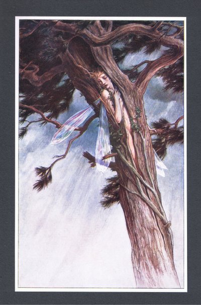 Hun indespærrede dig, ved hjælp af sine mest magtfulde præster og i sit mest ufortrødent raseri, i en spaltet fyrretræ, illustration fra The Tempest, 1908 af Paul Vincent Woodroffe