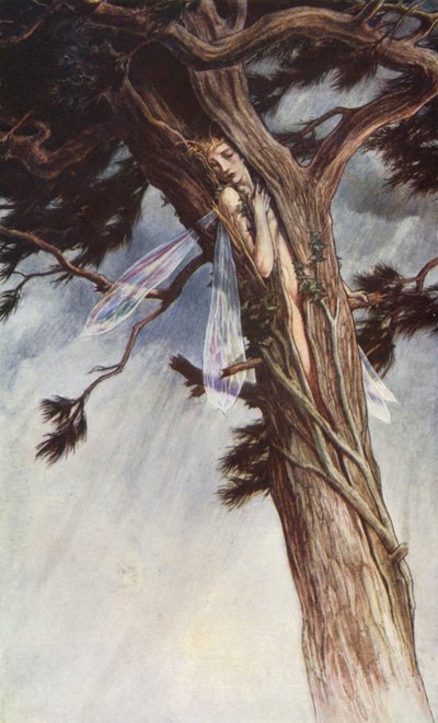 The Tempest af William Shakespeare, Act I, Scene 2 (farve litho) af Paul Vincent Woodroffe