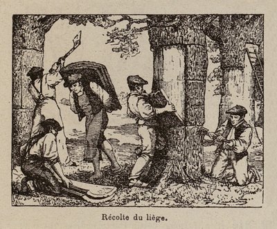  af Paul de Laubadere