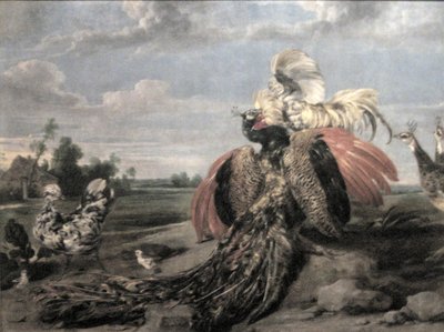 Påfugle- og hanekamp af Paul De Vos