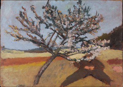 Mann unter einem blühenden Baum liegend af Paula Modersohn-Becker