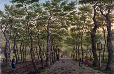Herepaden i Haagse Bos af Paulus Constantin La Fargue