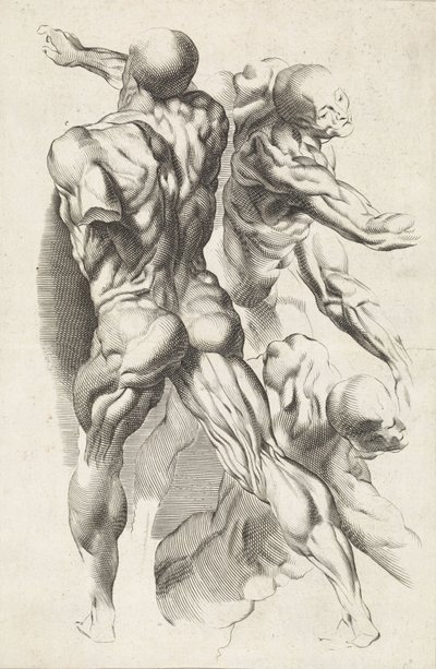 Anatomisk undersøgelse af tre figurer med strakte arme Tegnebogen af ​​Peter Paul Rubens (serietitel) af Paulus Pontius
