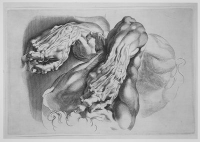 Tre studier af Écorchés, efter 1640., efter 1640. af Paulus Pontius
