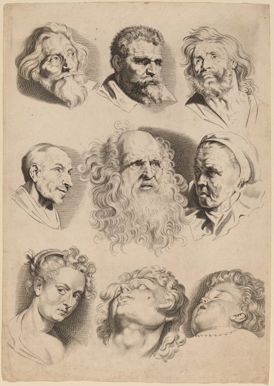 Ni hoveder af Paulus Pontius after Sir Peter Paul Rubens
