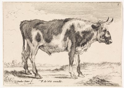 plettet okse Okser og køer (serietitel) af Paulus Potter (rejected attribution)