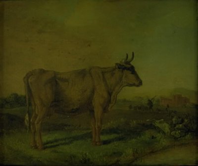 En ko af Paulus Potter