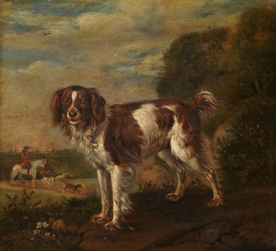 En spaniel af Paulus Potter