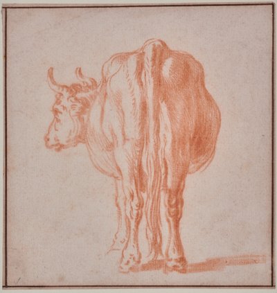 Ko (dyreundersøgelse) af Paulus Potter