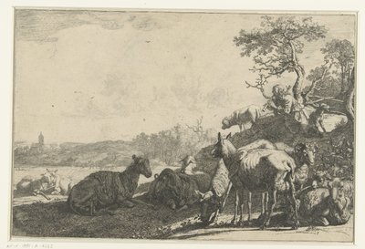 hyrden af Paulus Potter