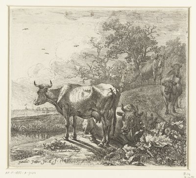 hyrden af Paulus Potter