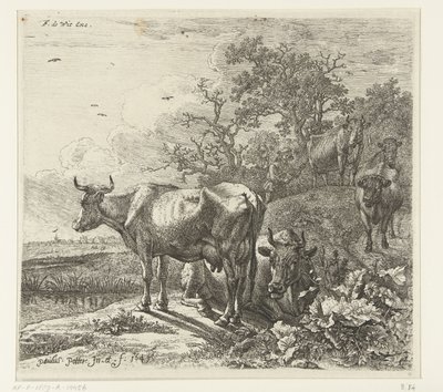 hyrden af Paulus Potter