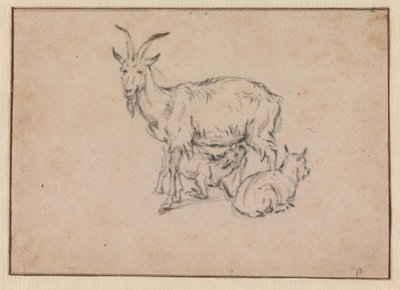  af Paulus Potter