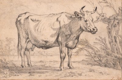  af Paulus Potter