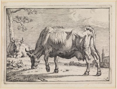  af Paulus Potter