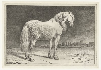 Den frieske hest Heste (serietitel) af Paulus Potter