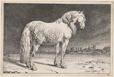  af Paulus Potter