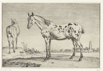 Den kuperede hest Heste (serietitel) af Paulus Potter