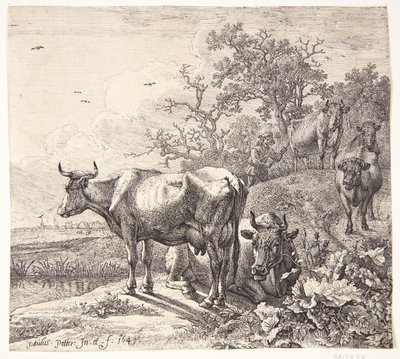  af Paulus Potter