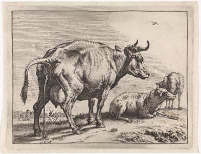 Pis The Bullen pjece (serietitel) af Paulus Potter