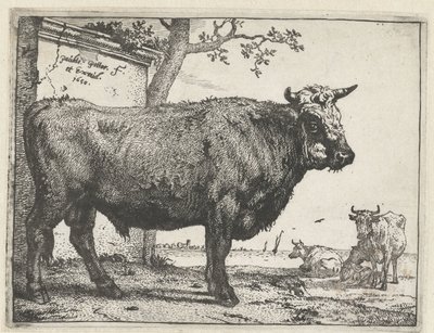 Tyren The Bull Book (serietitel) af Paulus Potter
