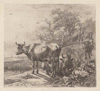 Kohyrden af Paulus Potter