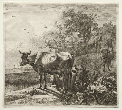 Kohyrden af Paulus Potter