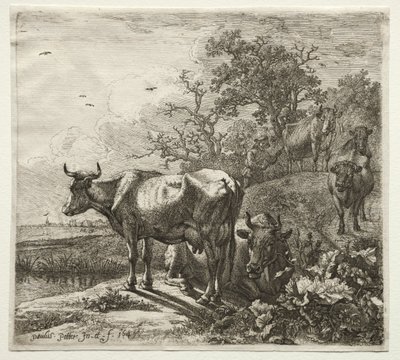 Kohyrden. af Paulus Potter