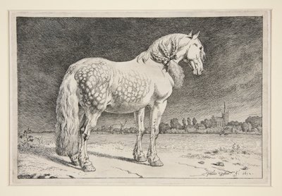 Friesland-hesten af Paulus Potter