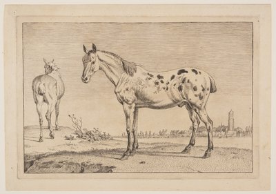 Den brummende hest, fra Serie af heste af Paulus Potter