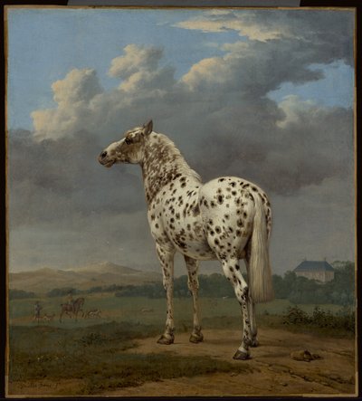 Den "skæve" hest af Paulus Potter