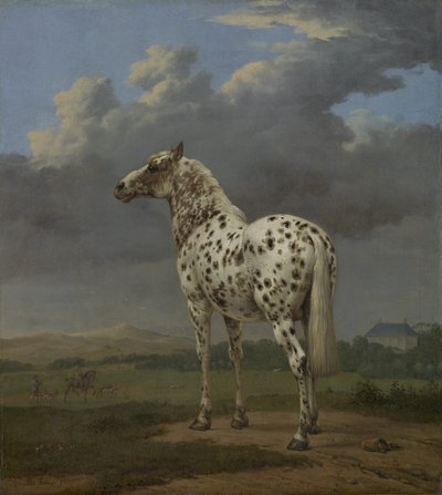 The "Piebald" Horse, ca. 1650-4 (olie på lærred) af Paulus Potter