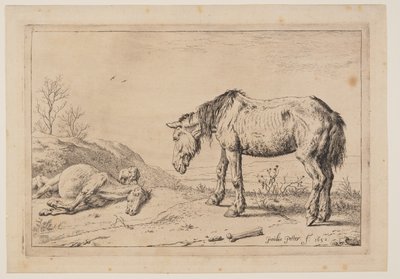 Den slidte hest, (La Mazette), fra Serie af heste af Paulus Potter