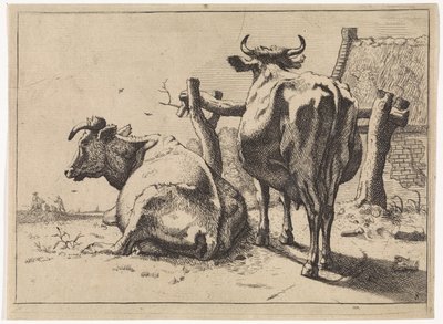 To køer set bagfra The Bullen-hæftet (serietitel) af Paulus Potter