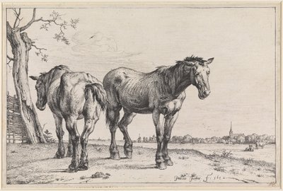  af Paulus Potter
