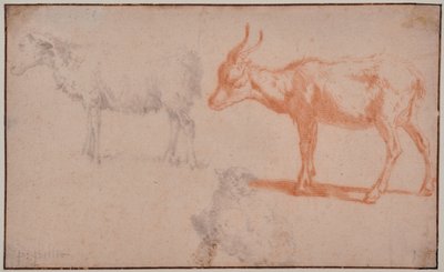 To får og en ged (dyrestudier) af Paulus Potter