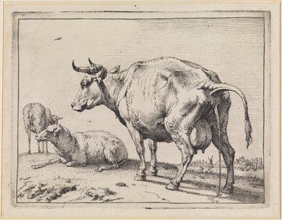  af Paulus Potter