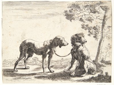 To hunde bundet sammen af Paulus van Hillegaert (II)