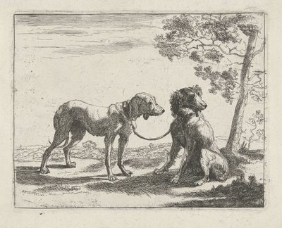 To hunde Hunde (serietitel) af Pauwels van Hillegaert