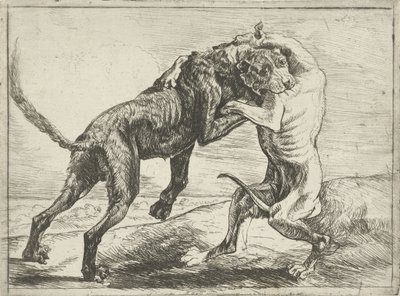 To kamphunde Hunde (serietitel) af Pauwels van Hillegaert