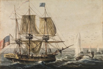 Genopfyldning af skibskammeret med torsk ud for Newfoundlandskysten, 1811-ca. 1813. af Pavel Petrovic Svin