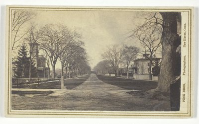 Hillhouse Avenue af Peck Brothers